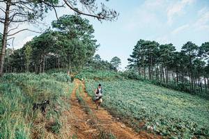 BIB: 
                            <button type="button" onclick="openModal(25654215)" class="btn btn-primary btn-sm float-right btn-popup" data-toggle="modal" data-target=".modal-high-quality">
                        <i class="fas fa-shopping-cart"></i> Add to Cart
                    </button>
                                            <button type="button" onclick="isThisMe(25654215, true)" class="btn btn-success btn-sm float-right btn-popup btn-isme hidden" data-toggle="tooltip" data-placement="bottom" title="นี่คือรูปของคุณใช่ไหม คลิกที่นี่เพื่อเอาเข้าอัลบั้ม">
                        <i class="fas fa-plus"></i> Add to album
                    </button>
                    <button type="button" onclick="isThisMe(25654215, false)" class="btn btn-warning btn-sm float-right btn-popup btn-isnotme hidden">
                        <i class="fas fa-ban"></i> Remove from album
                    </button>